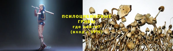 a pvp Аркадак