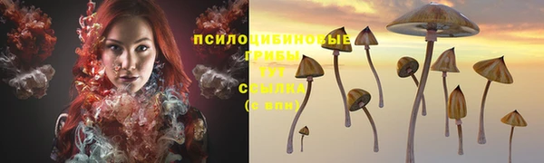 прущая мука Арсеньев