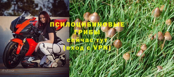 прущая мука Арсеньев