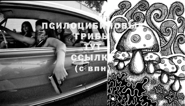 прущая мука Арсеньев
