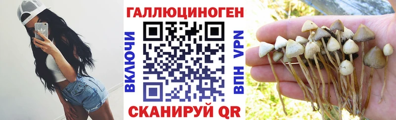даркнет официальный сайт  Сунжа  Галлюциногенные грибы Magic Shrooms 